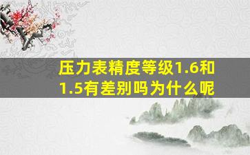 压力表精度等级1.6和1.5有差别吗为什么呢