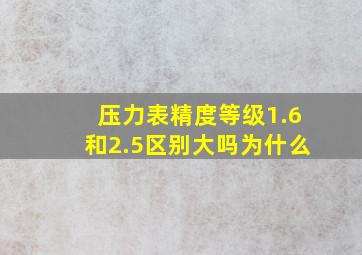 压力表精度等级1.6和2.5区别大吗为什么