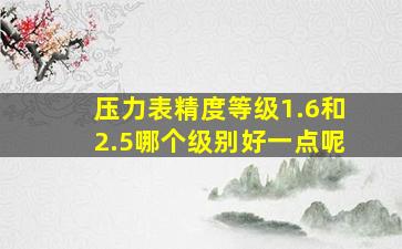 压力表精度等级1.6和2.5哪个级别好一点呢