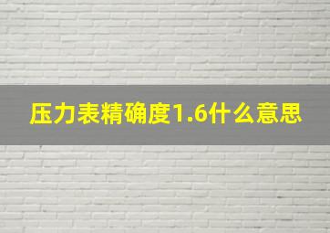 压力表精确度1.6什么意思