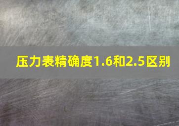 压力表精确度1.6和2.5区别