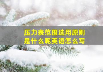 压力表范围选用原则是什么呢英语怎么写