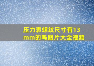 压力表螺纹尺寸有13mm的吗图片大全视频