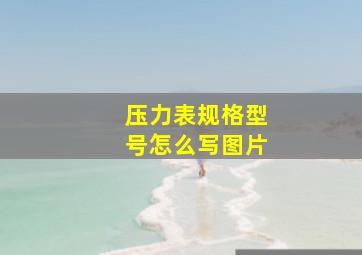 压力表规格型号怎么写图片