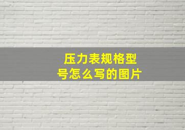 压力表规格型号怎么写的图片