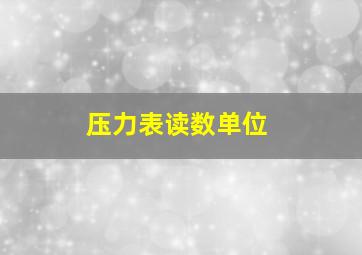 压力表读数单位