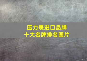 压力表进口品牌十大名牌排名图片