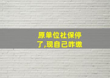 原单位社保停了,现自己咋缴