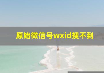 原始微信号wxid搜不到