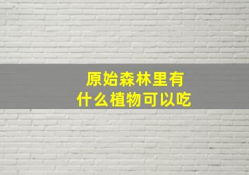 原始森林里有什么植物可以吃