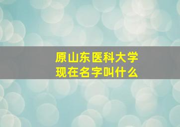 原山东医科大学现在名字叫什么