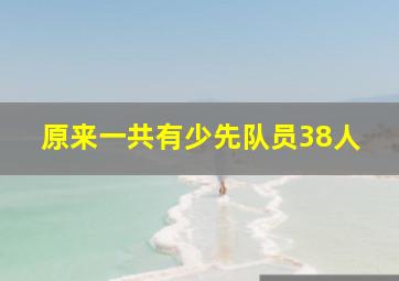 原来一共有少先队员38人