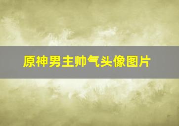 原神男主帅气头像图片