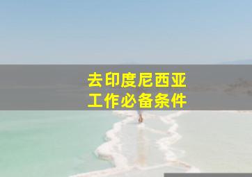 去印度尼西亚工作必备条件