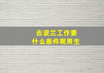 去波兰工作要什么条件呢男生