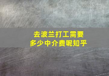 去波兰打工需要多少中介费呢知乎