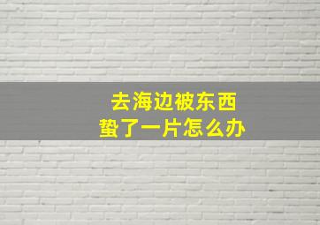 去海边被东西蛰了一片怎么办