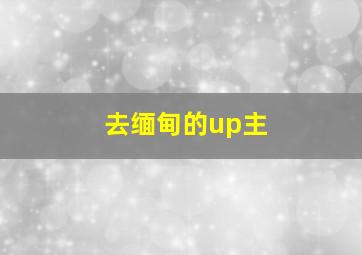 去缅甸的up主