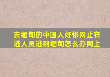 去缅甸的中国人好惨网止在逃人员逃到缅甸怎么办网上