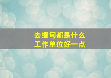 去缅甸都是什么工作单位好一点