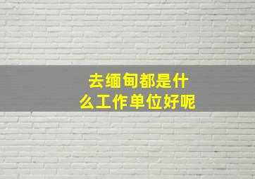 去缅甸都是什么工作单位好呢