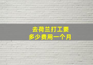 去荷兰打工要多少费用一个月