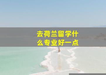 去荷兰留学什么专业好一点