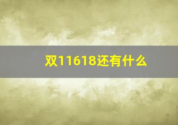 双11618还有什么