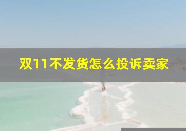 双11不发货怎么投诉卖家