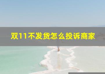 双11不发货怎么投诉商家