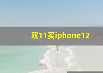 双11买iphone12