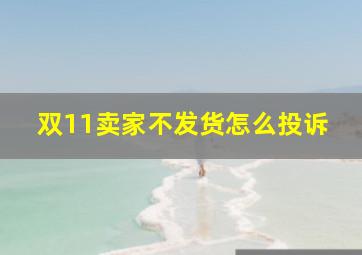 双11卖家不发货怎么投诉