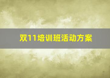 双11培训班活动方案