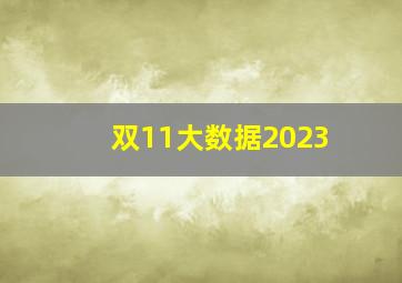 双11大数据2023