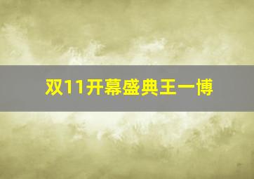 双11开幕盛典王一博