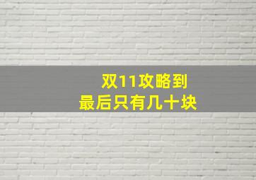 双11攻略到最后只有几十块