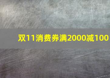 双11消费券满2000减100