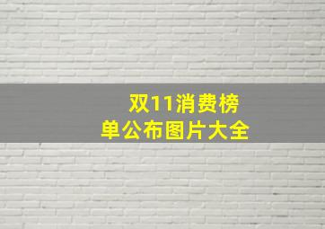 双11消费榜单公布图片大全