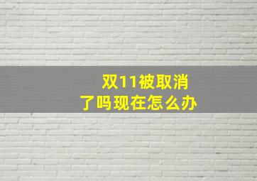 双11被取消了吗现在怎么办