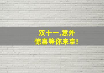 双十一,意外惊喜等你来拿!