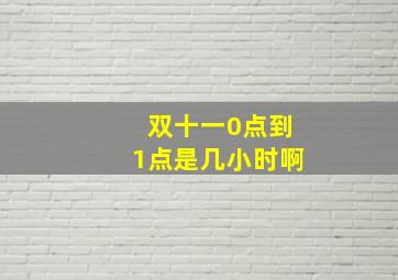 双十一0点到1点是几小时啊