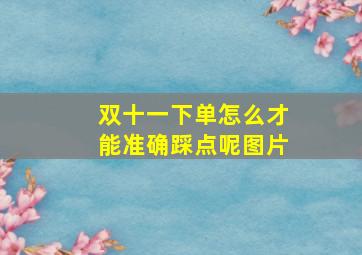 双十一下单怎么才能准确踩点呢图片