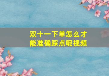 双十一下单怎么才能准确踩点呢视频