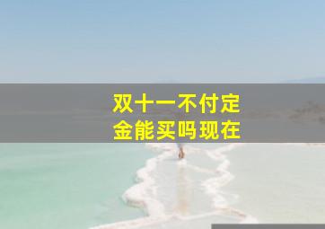 双十一不付定金能买吗现在