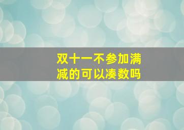 双十一不参加满减的可以凑数吗