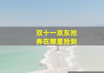 双十一京东抢券在哪里抢到