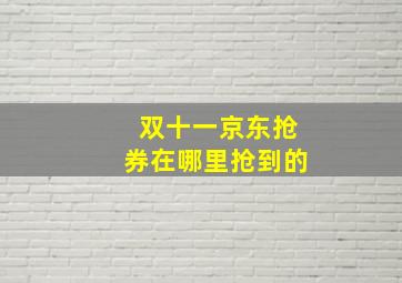 双十一京东抢券在哪里抢到的