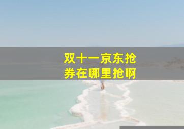 双十一京东抢券在哪里抢啊