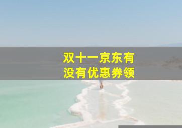 双十一京东有没有优惠券领