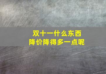 双十一什么东西降价降得多一点呢